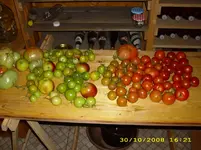 Test 793.webp