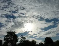 P1040657.webp