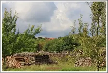 Holz vor der Hütte.webp