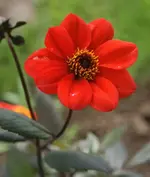 DSC09789(1).webp