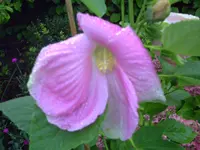 PICT0159.webp