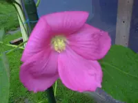 PICT0160.webp
