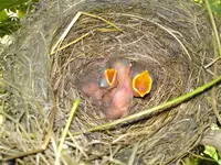 Bild 592.webp