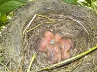 Bild 578.webp