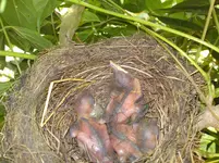 Bild 567.webp