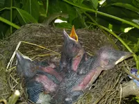 Bild 569.webp