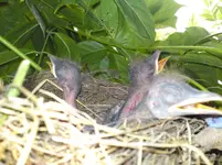 Bild 575.webp