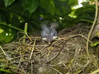 Bild 595.webp