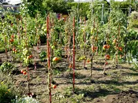 P9040161.webp