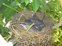 Bild 608.webp