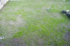 flaeche-von-oben.webp