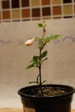 DSC03644_ganz_klein.webp