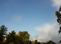 P1060186.webp