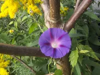 HPIM5412.webp