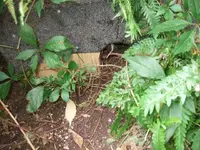 k-DSCF0048.webp