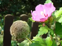 2010 09 10 014.webp
