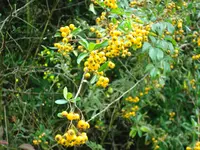 2010 09 10 019.webp