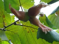 2010 09 10 051.webp