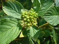 2010 09 10 116.webp