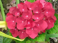 206.webp