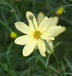 DSC09795(1).webp