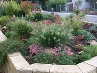 vorgarten2.webp