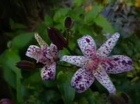 P1060160.webp