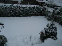 Aus dem Dach im Winter.webp
