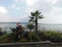 CIMG3447.webp