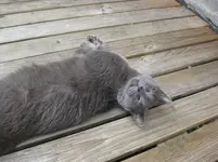 Bild 558.webp