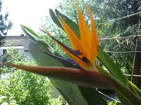 Bild 112.webp