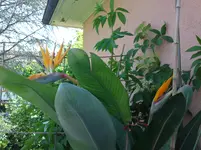 Bild 113.webp