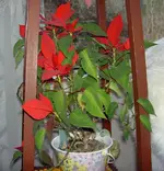 September 2010 231v.webp