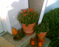 mein Herbsteingang.webp