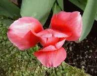 September 2010 365 v.webp