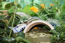 Scherben.webp