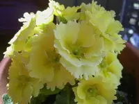 September 2010 412 v.webp