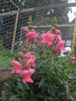 HPIM5427.webp