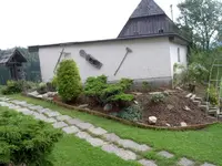 haus 5.webp