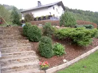 haus 6.webp