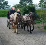 Kutschengespann.webp