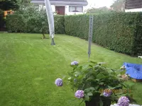 022.webp