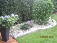 025.webp
