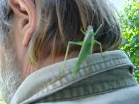 2008 09 28 002.webp