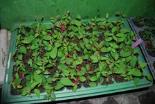 DSC_0002.webp