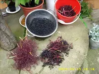 JD500145.webp