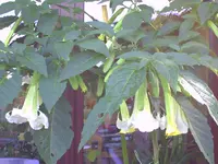 PICT0169.webp