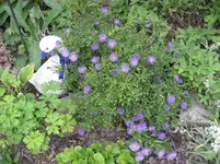 IMG_2782.webp