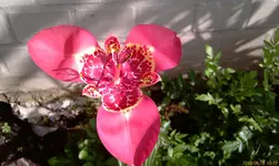 IMAG0101.webp