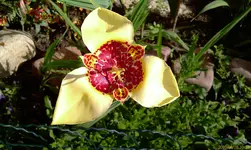 IMAG0104.webp
